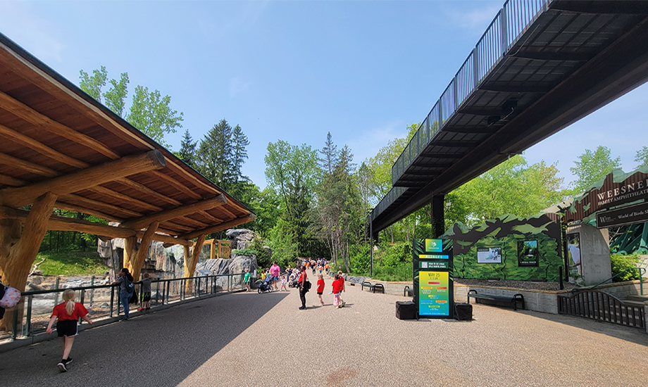 Minnesota Zoo Treetop Trail MBJ